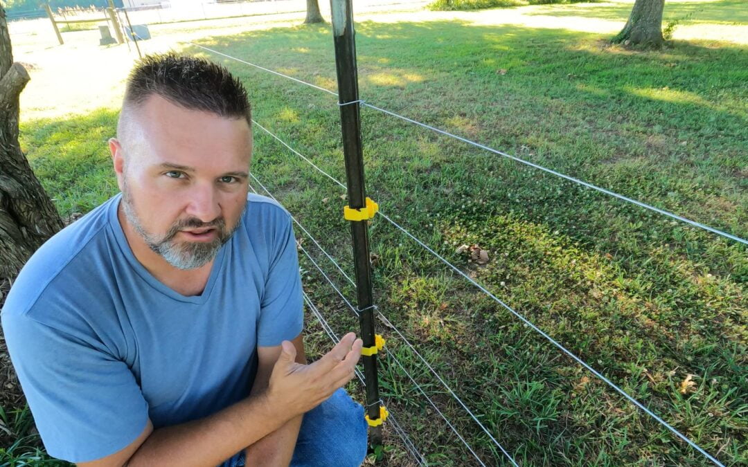 5 Reasons This Electric Fence Insulator is Best – Make Your Farm Work Smarter