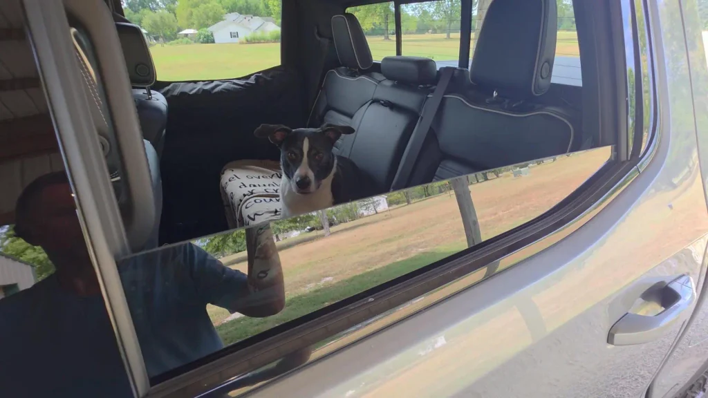 dog in gmc sierra 1500 back seat ready to ride